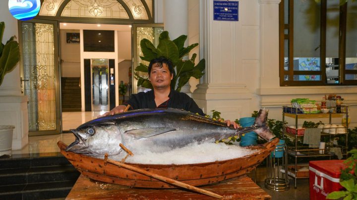 Cá ngừ đại dương tươi ngon